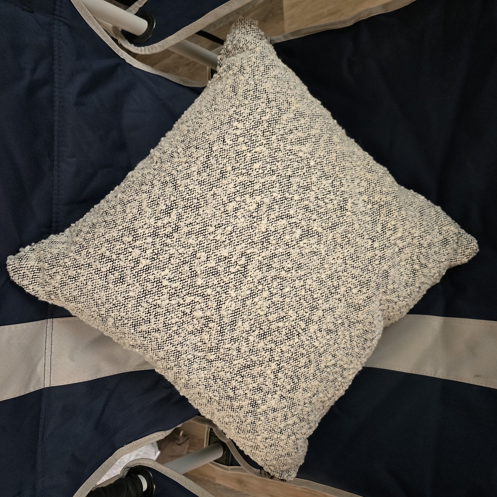 Free Shipping, Target. Cream/Black Textured Pillow - Picture 5 of 5
